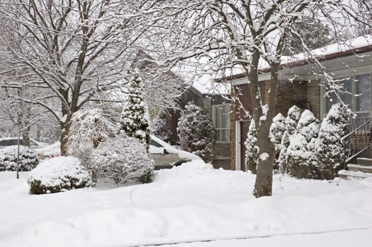 Snow on the street of North York