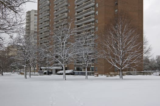 Brick building in Toronto city on snow background