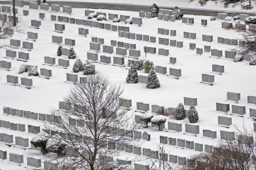 cemetery in winter in snow