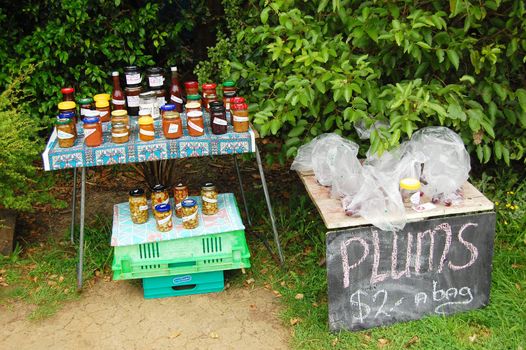 Plums at farm market, Waiheke Island, New Zealand