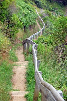 Trail with timber handrail, Waiheke Island, New Zealand