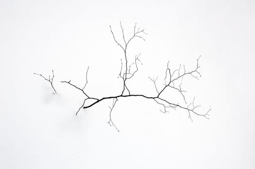 Small tree without leaves on snow background