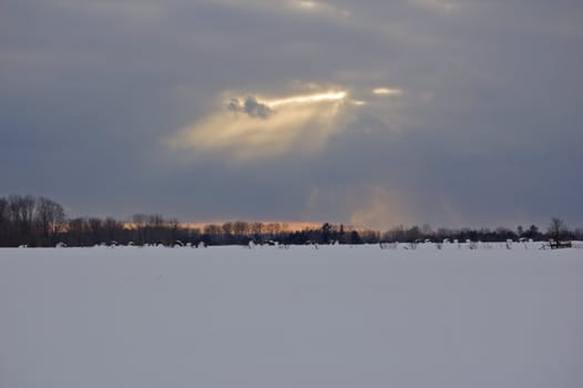 Sky and clouds in winter evening above snow field