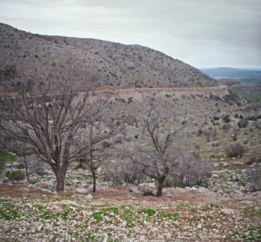 Mount Hermon panorama - northern Israel . Spring .