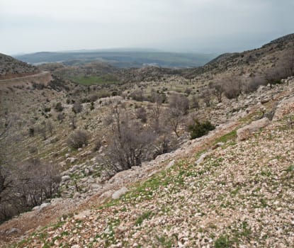 Mount Hermon panorama - northern Israel . Spring .