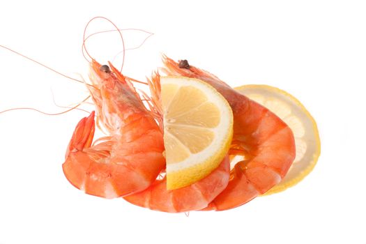 fresh shrimp, photo on the white background 