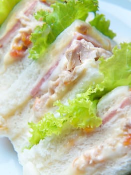 Salad tuna sandwich and ham cheese sandwich