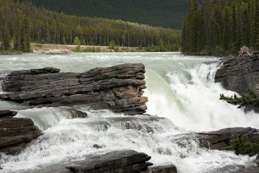 Thundering water over brown-grey rocks against green forest backdrop.