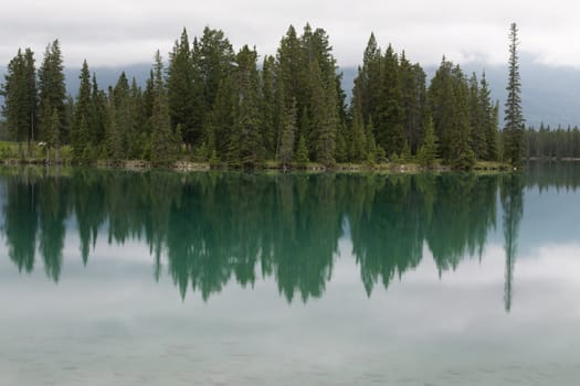 Perfectly still water is a mirror of the green scenery.
