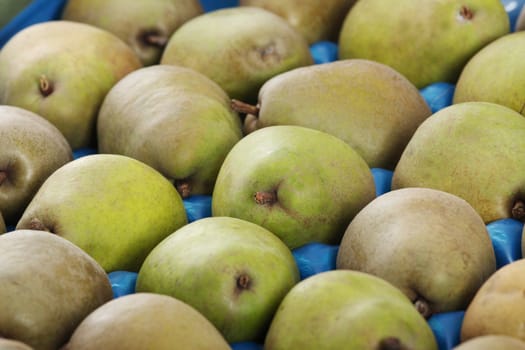 Freshly picked Williams (Bartlett) pears in box