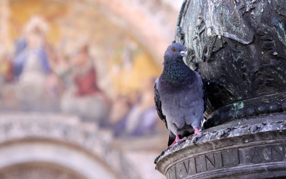 A pigeon sitting on a light stand in Venice.  Notice that the word Venetan is carved into the stand below the bird.