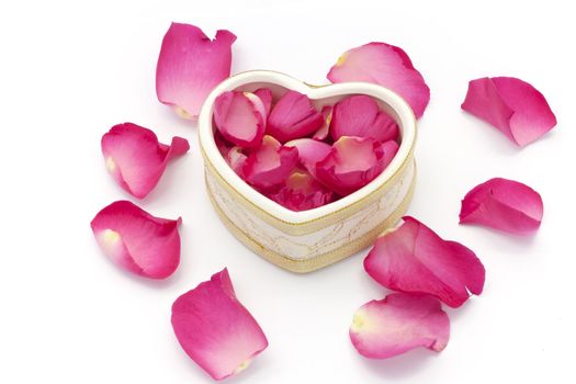 Heart cup and rose petals