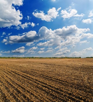 black ploughed field under deep blue sky with clouds