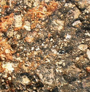 Soil and stone after rain texture can use as background 