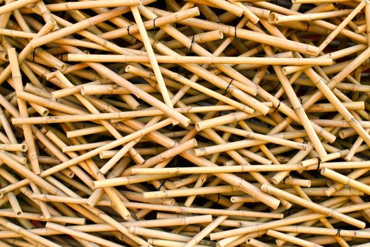 Group of messy bamboo sticks