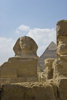 Front of sphinx with pyramid in the background, Egypt, Cairo