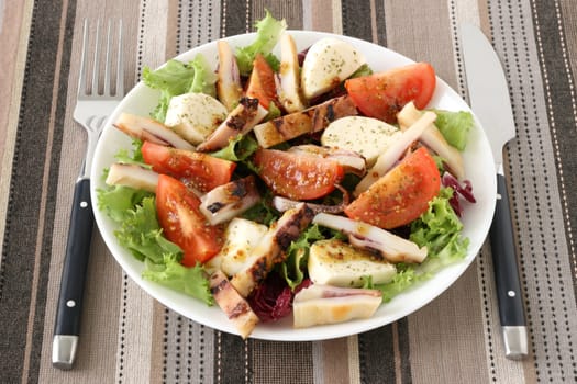 salad with cheese mozzarella and octopus