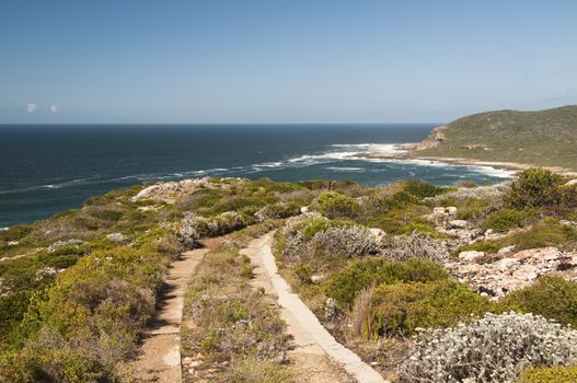 The view of a trail next to the sea, Pletternberg Bay, South Africa