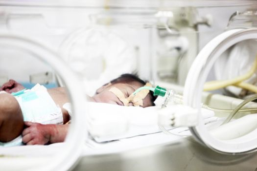 Newborn baby inside incubator