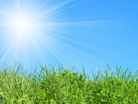 green grass on blue sky 