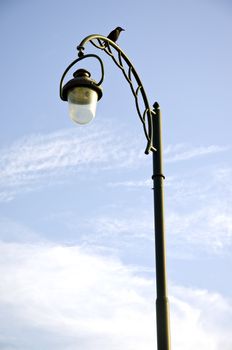 Glass lamp metal decorative pole park lighting and crow