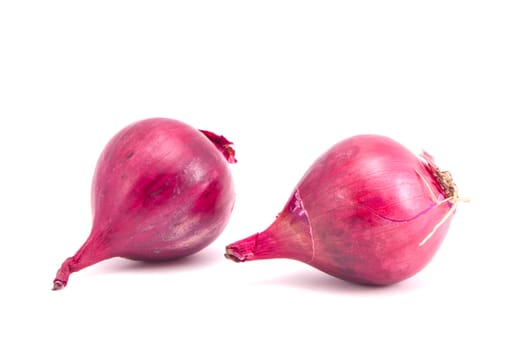 Two red onion isolated on a white background. Healthy organic diet nutrition.