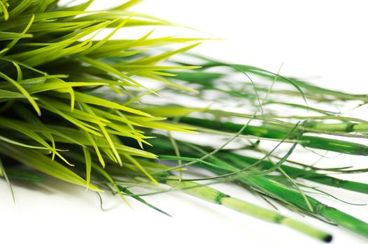 Green Grass and bamboo on white background