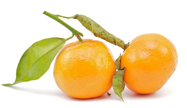 Two tangerines with green leaves on white background