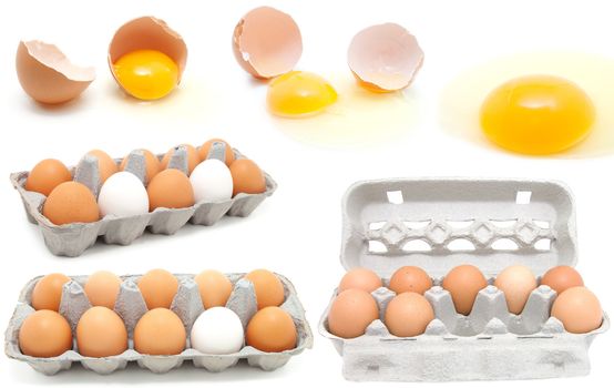 set of eggs on a white background. egg is broken.