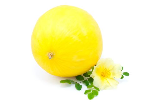 Yellow melon with flower isolated on white background 