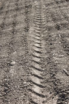 Tread pattern of a truck tire on the field soil