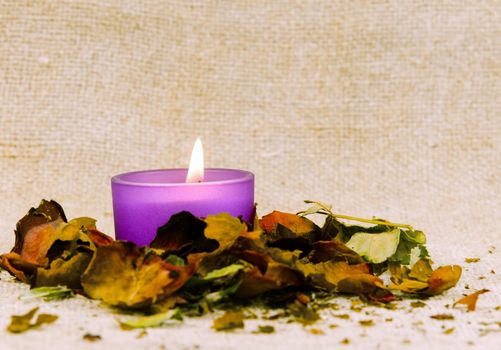 candle light , dried flower petal