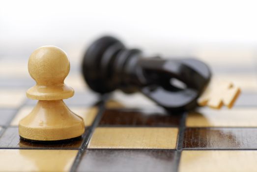 White Pawn standing over defeated black King. Class Struggle.