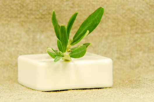 olive branch on apiece of soap