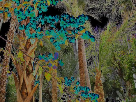 Stylized color fantastic jungle.                            