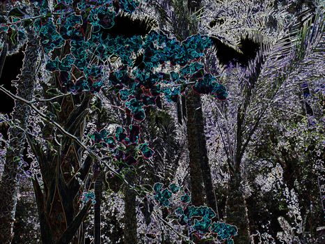 Stylized color fantastic forest as background.                             