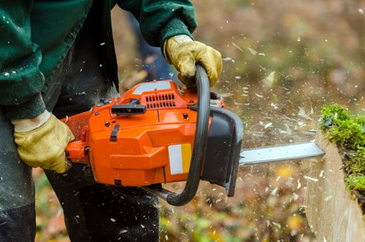 a chainsaw in action