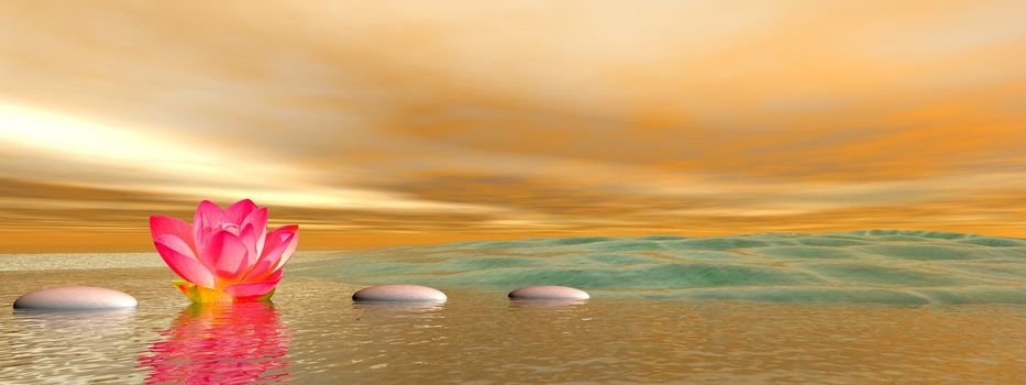 steps and water lily and sea