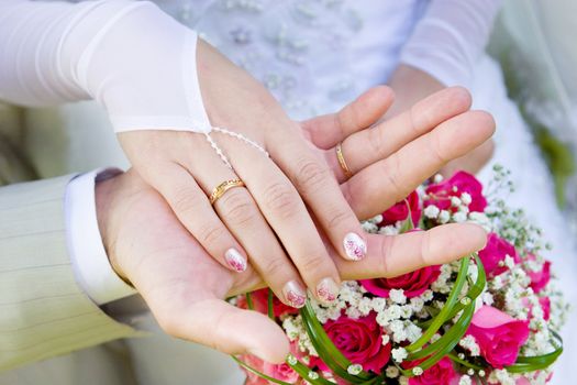 A hand of a bride above a hand of a groom with weddings rings on