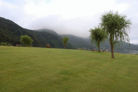 fresh summer landscape with willow trees and green grass lawn, Lake Kawaguchi, Japan