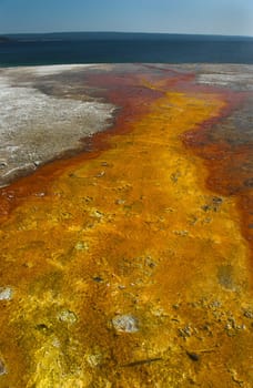 Hot spring located in Yellowstone National Park