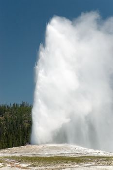 Old Faithful in Yellowstone National Park.