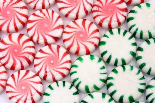 Red and green Christmas mints