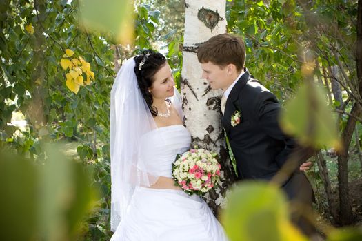 a bride and a groom stay by the birch looking with love one to another