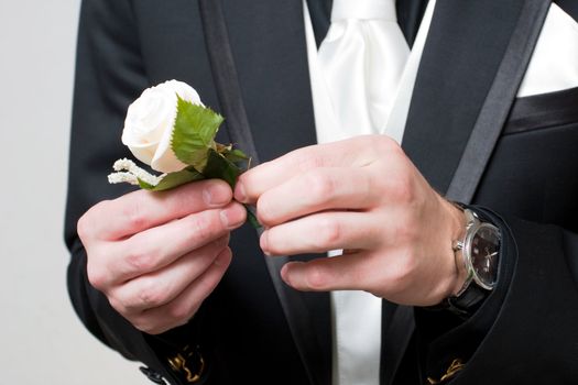 a white rose in the hands of the man in the black suit