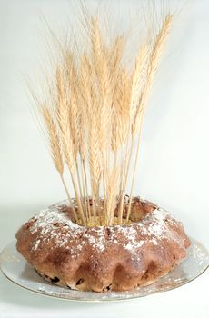 Easter cake with spikes on the plate close up