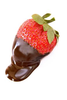 Strawberry dipped in dark chocolate on a white background.