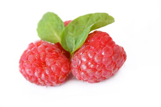 Raspberries and mint leaves shot on a white background. Used a shallow depth of field.