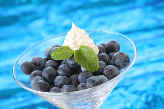 Blueberries with mint leaves and whip topping in a martini glass and shot on a metalic blue background.