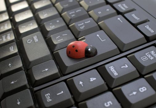 Insect is sitting on a new keyboard. Funny.